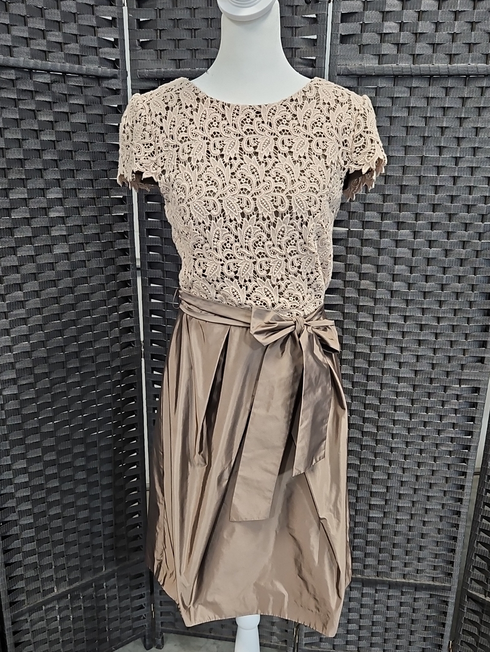 Size 6 Tan/Toffee Cap Sleeve Embroidered Lace Taffeta Fit & Flare Suzi Chin